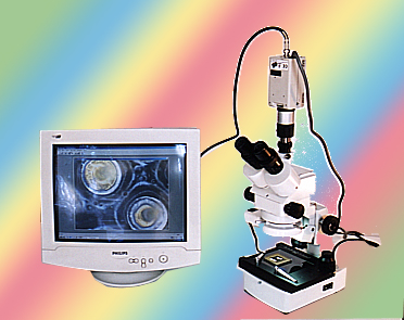 �wҕ�@΢�D�����ϵ�y(t��ng)